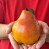 Силиконовая форма "Большая груша"